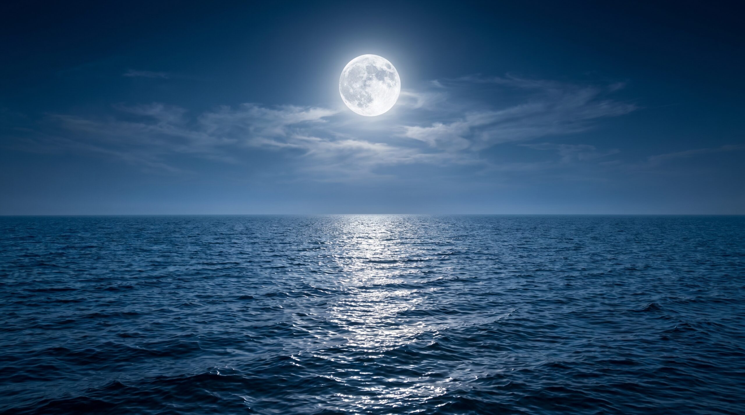 Moonlit Ocean Silence